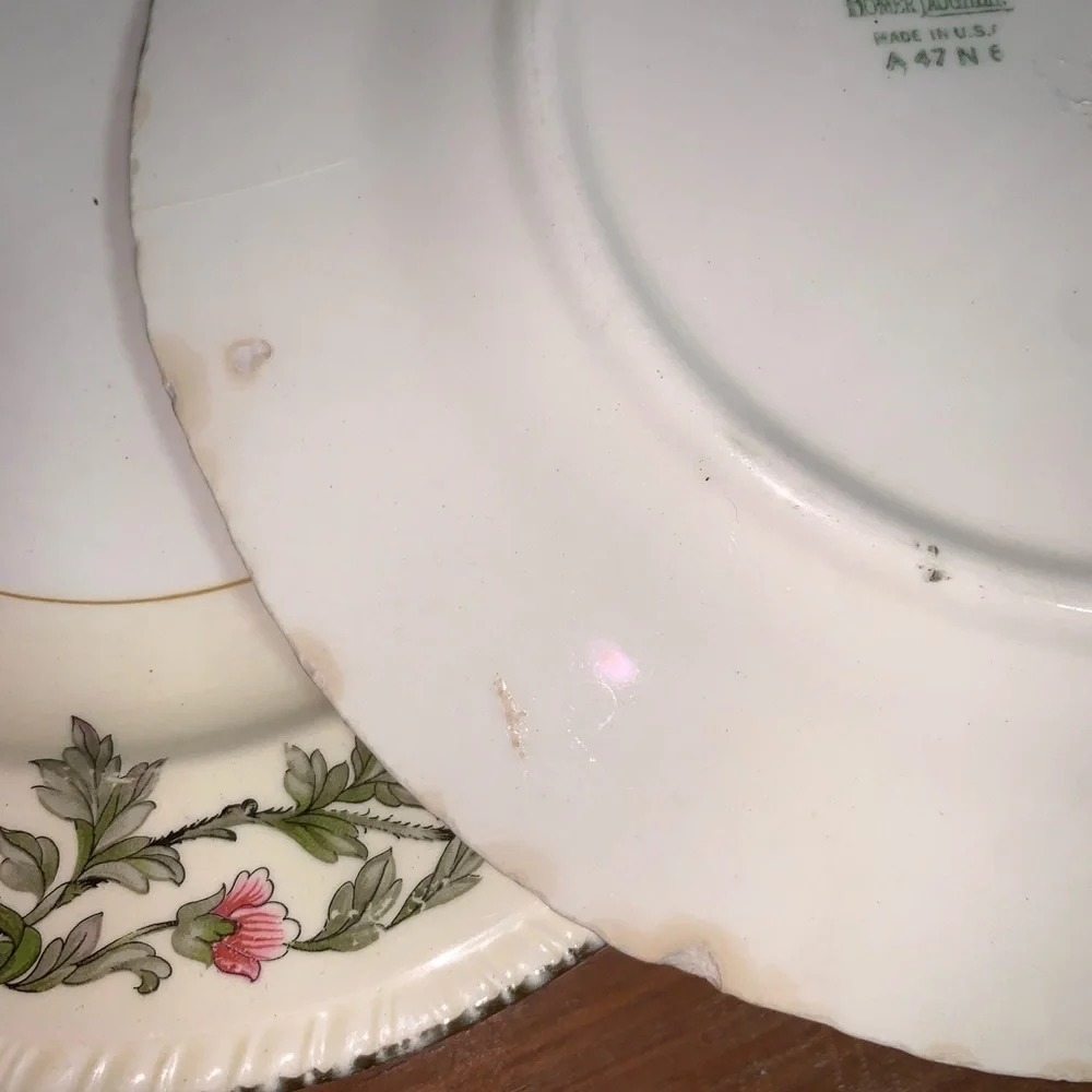 Set of 6 Vintage Plates Floral w/Gold Rim Cottage Shabby Chic Farmhouse Grandma